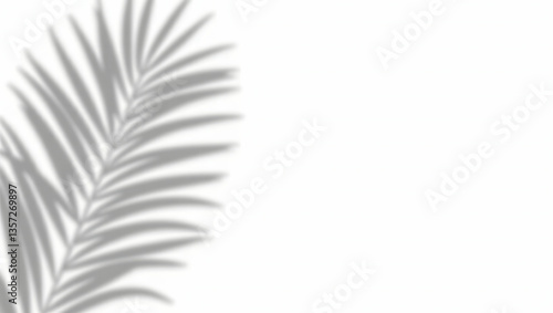 Natural palm leaf shadows isolated on transparent background.