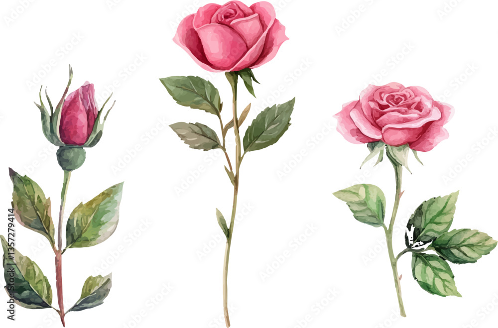 Fototapeta premium bouquet of pink roses