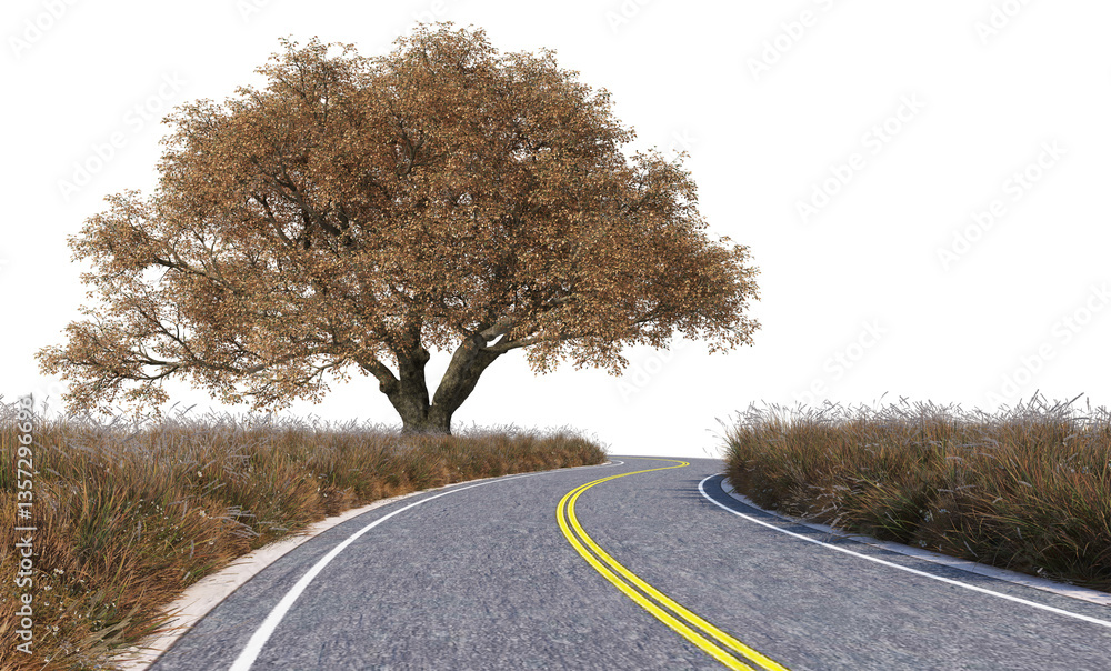 Fototapeta premium 3D Render Scenic Road Passing Through Grass Field with Big Autumn Trees on Transparent Background