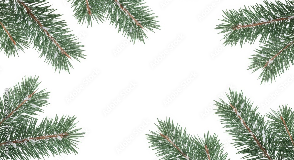 Snowy Pine Branches Frame - Elegant frame of snow-dusted pine branches on a white background, perfect for winter or holiday designs Snowy Pine Branches Frame - Elegant frame of snow-dusted pine branches on a white background, perfect for winter or holiday designs