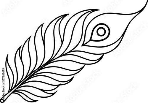 Peacock feather outline vector art,Peacock feather vector