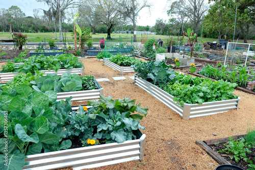 A vegetable garden featuring galvanized metal raised garden beds and wood shaving for mulch, a low maintenance ground cover.