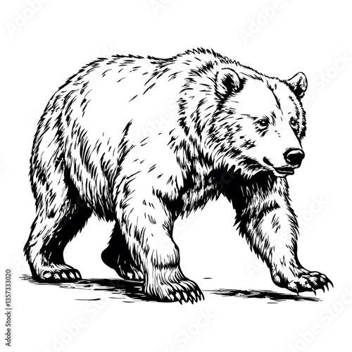 A bear is walking on a path