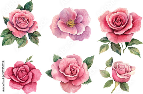 seamless pattern with roses