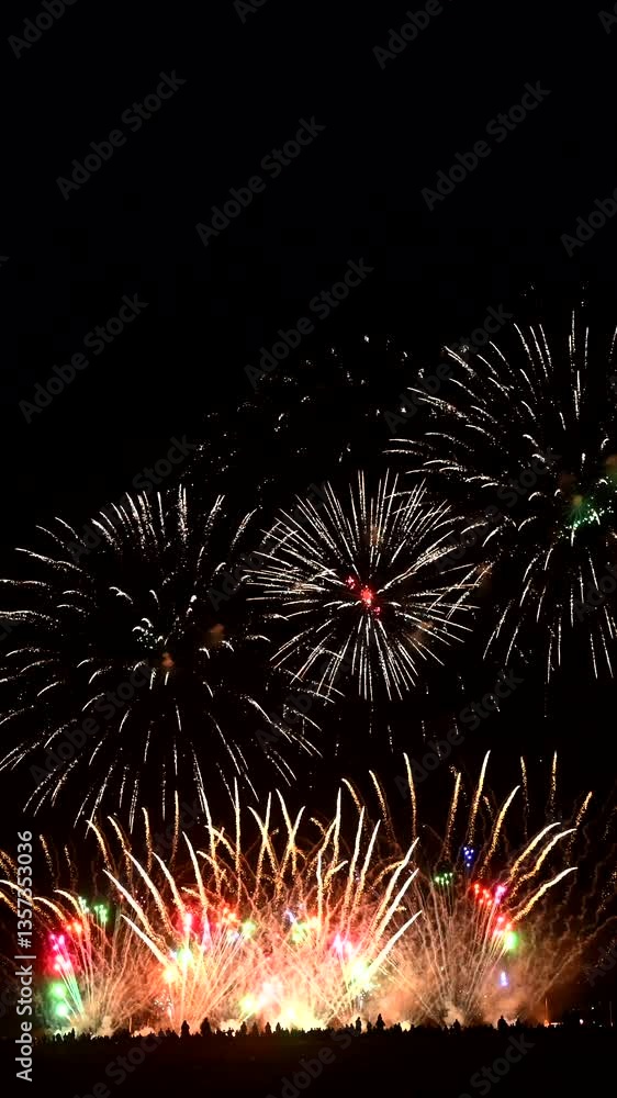 Spectacular abstract fireworks display lights up the night sky for New Year and Independence Day celebrations Spectacular abstract fireworks display lights up the night sky for New Year and Independence Day celebrations
