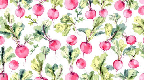 Wallpaper Mural Watercolor radish on white background Torontodigital.ca