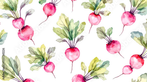 Watercolor pattern radish white background