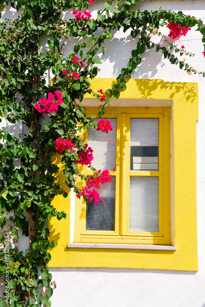 Φωτογραφία bougainvillea in the old town of olhão algarve portugal