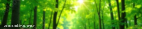 Blurred background of lush, green forest with sunlight filtering through trees,  sunlight, nature