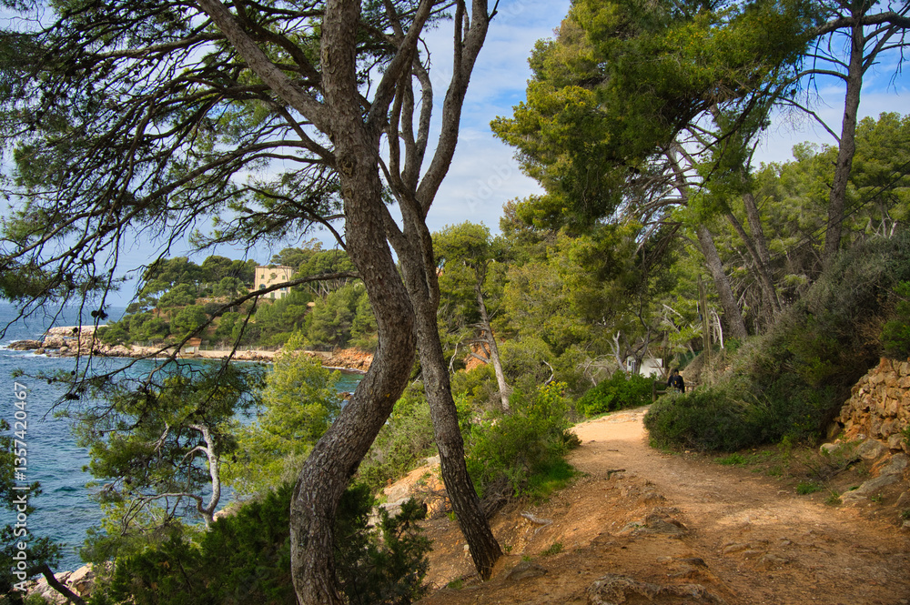 Fototapeta premium Küstenweg von Bandol an der Cote d'Azur