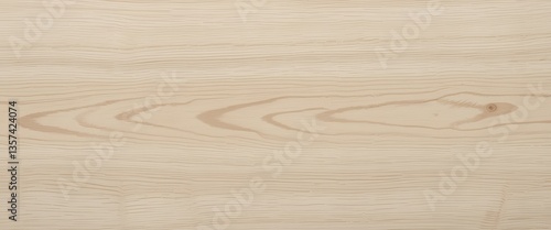 Wallpaper Mural Light Cream Birch Wood Texture Natural Wooden Background with Subtle Grain for Design Projects Torontodigital.ca