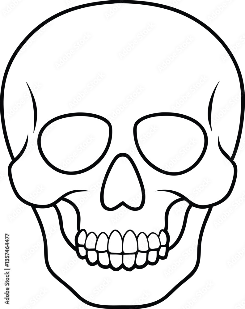 skull outline vector illustration, human skull line art vector skull outline vector illustration, human skull line art vector