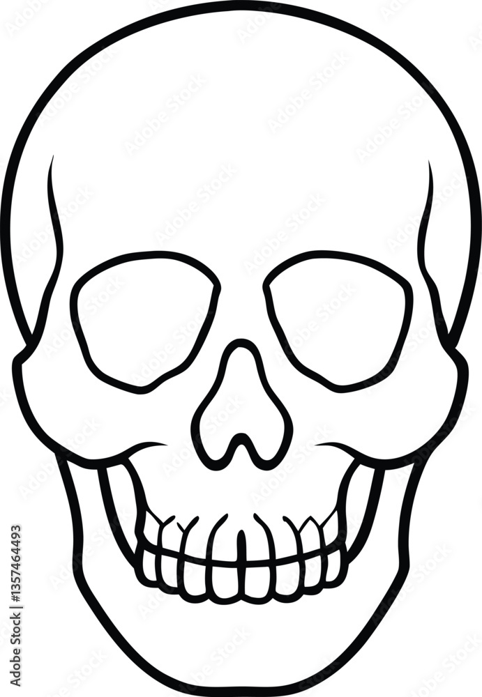 skull outline vector illustration, human skull line art vector skull outline vector illustration, human skull line art vector