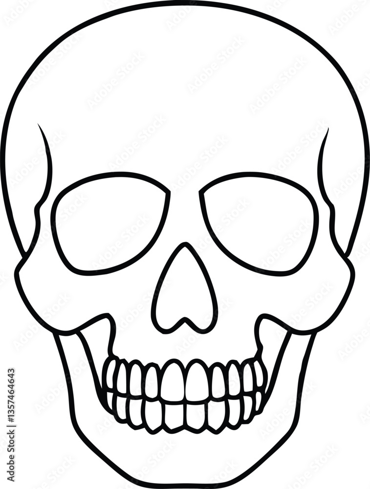 skull outline vector illustration, human skull line art vector skull outline vector illustration, human skull line art vector