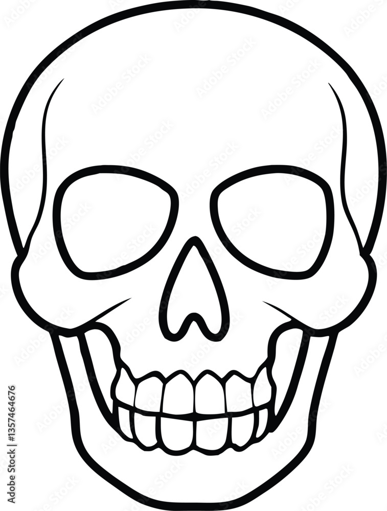 skull outline vector illustration, human skull line art vector skull outline vector illustration, human skull line art vector