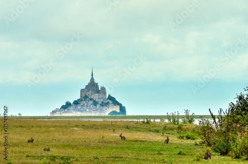 Wallpaper Mural Le Mont Saint-Michel et sa baie avec des lapins de Garenne. Torontodigital.ca
