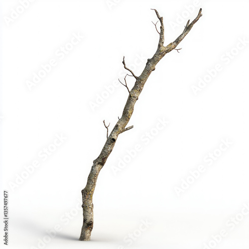 wooden stick isolated