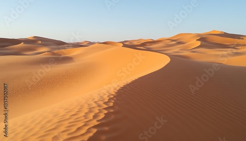 Fototapeta Naklejka Na Ścianę i Meble -  sand dunes in the sahara