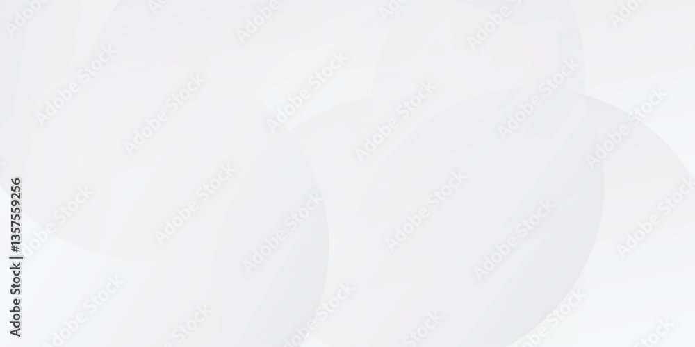 Fototapeta premium White geometric abstract background overlap layer on bright space with lines effect decoration. Modern graphic design element circles style vector eps10