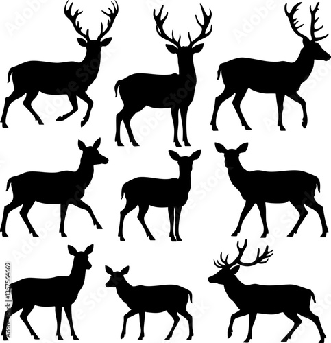 Nine Deer Silhouettes: Stag, Doe, Diverse Poses, Vector Collection