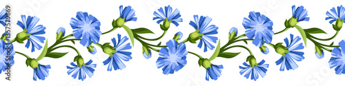 Horizontal seamless border with blue chicory flowers. Vector floral garland