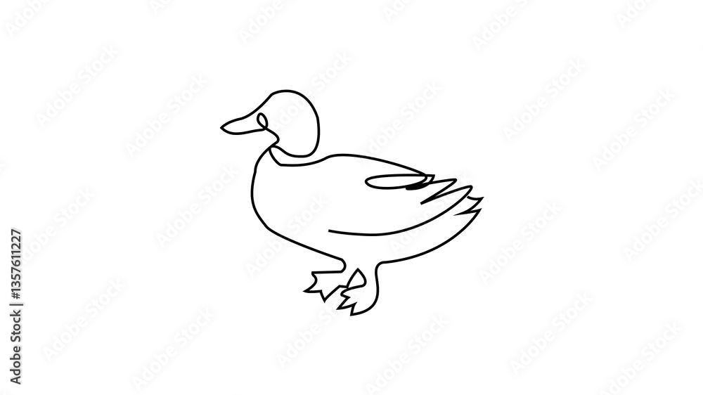 Baby duck elegance duckling single-line art animation. Baby duck elegance duckling single-line art animation.