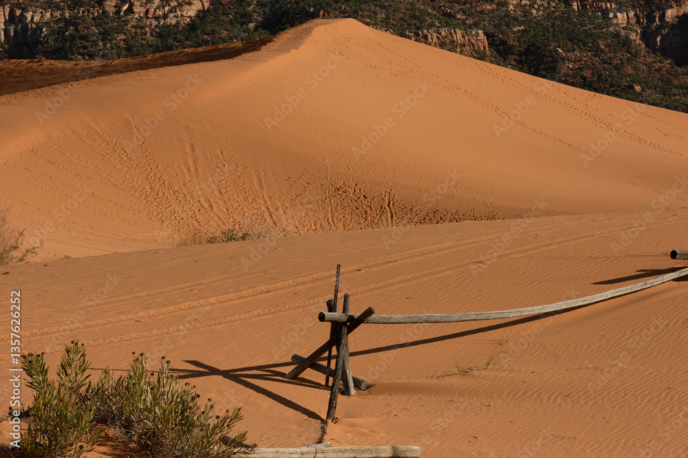 Φωτογραφία Coral Pink Sand Dunes Landscape, Utah