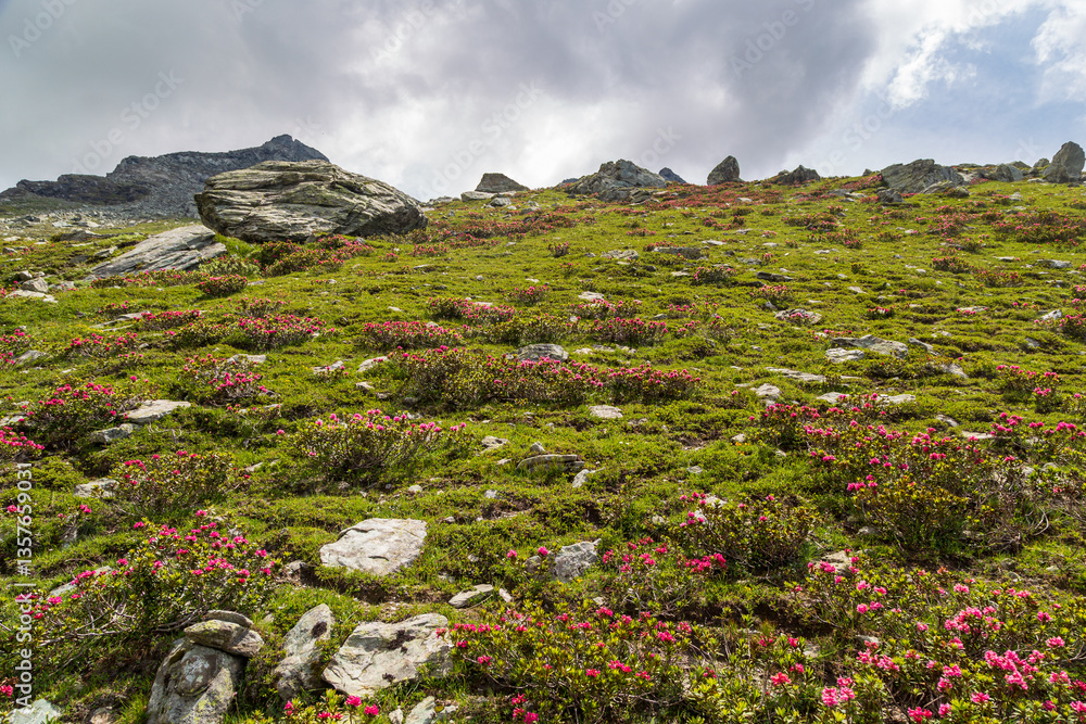 Summer trekking day in the mountains over Valtournanche