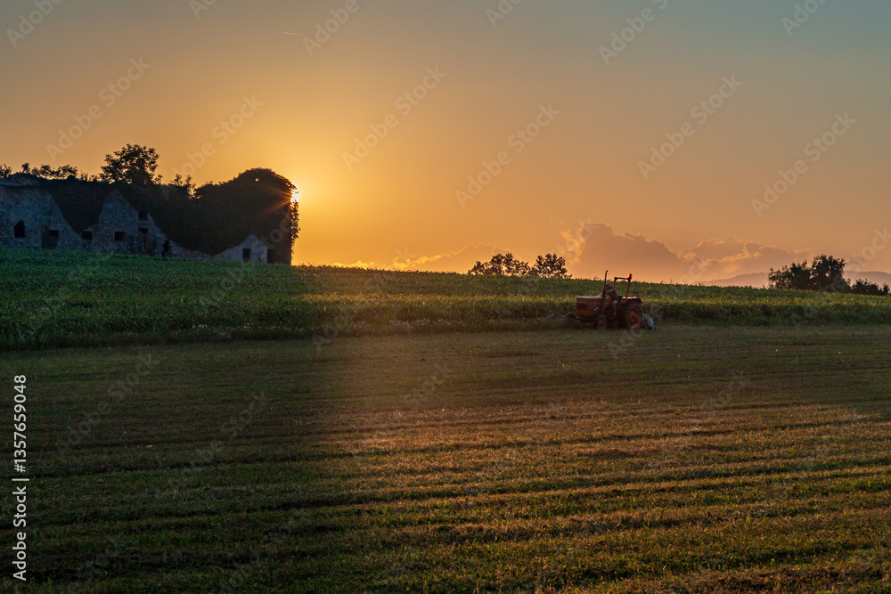 Colorful sunset in the fields of Friuli Venezia-Giulia