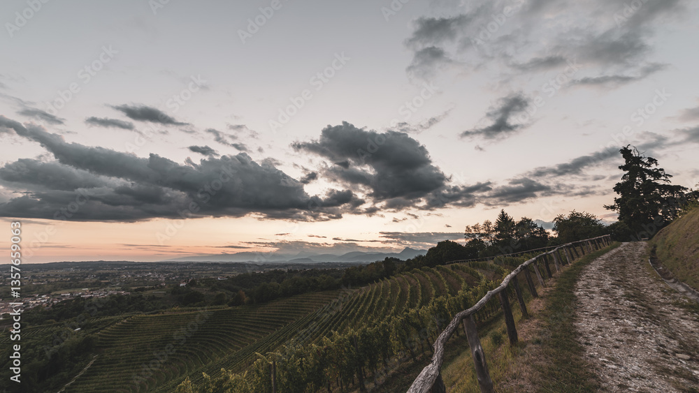 Colorful sunset in the vineyards of Savorgnano del Torre
