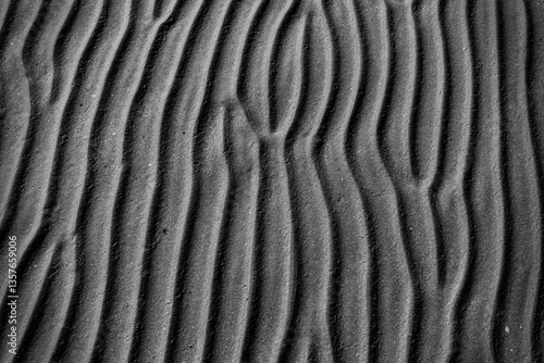 Terreno - Pattern Bianco e Nero