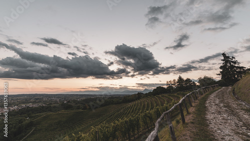 Obraz na płótnie Colorful sunset in the vineyards of Savorgnano del Torre w salonie