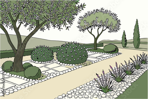 22 Mediterranean garden, olive trees, lavender bushes, gravel path, topiary spheres, white pebbles, purple flowers, green foliage, symmetrical layout, landscaped design, tranquil atmosphere, drought-r