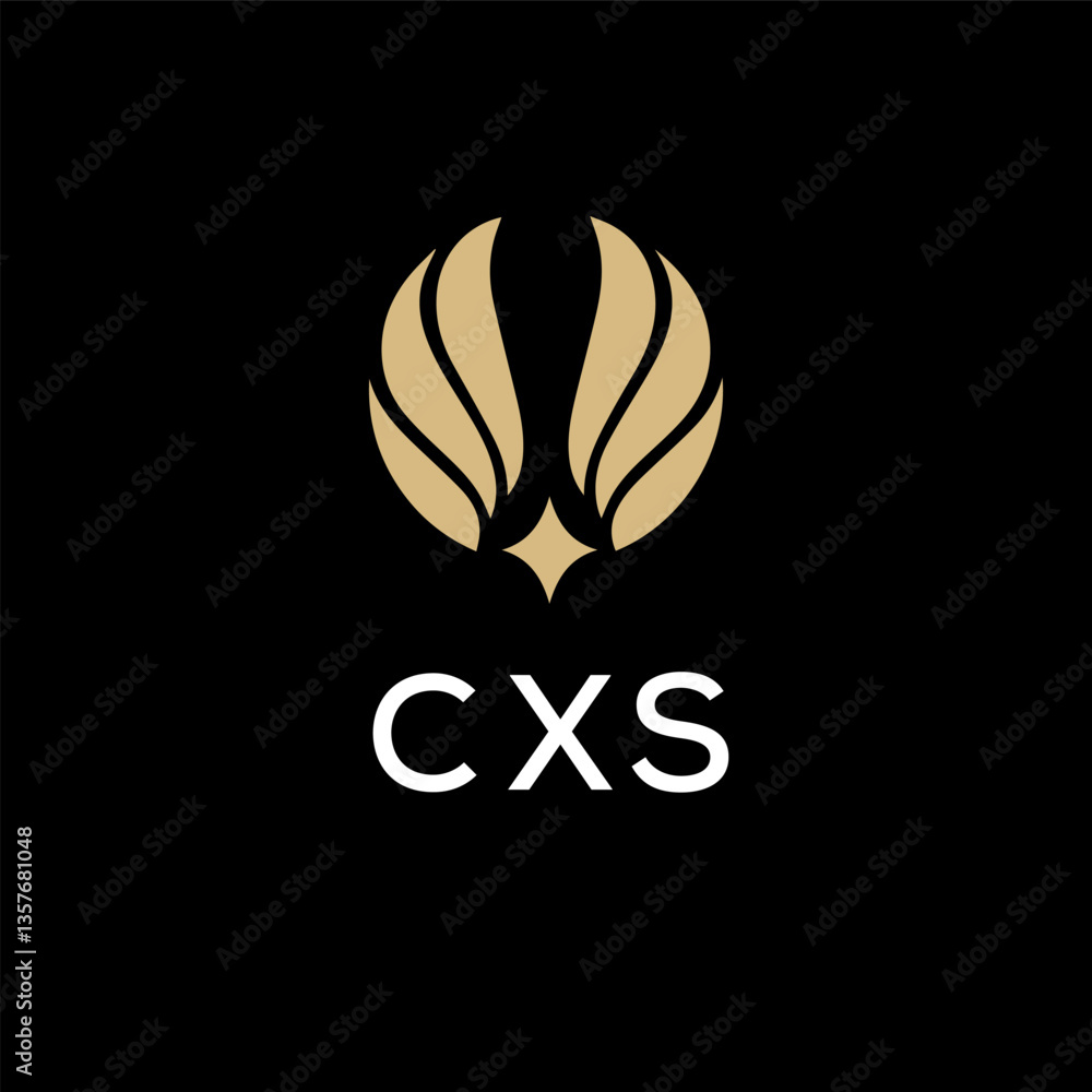 Obraz premium CXS creative minimalist letter logo.