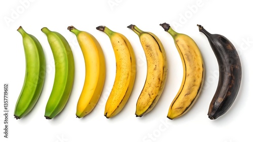 Banana ripening stages isolated on white background, from green to overripe