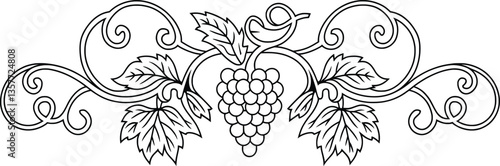 Ornate Grape Vine Illustration, Black and White Vintage Floral Design