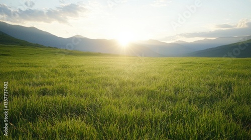 A serene landscape featuring lush green grass under a vibrant sky, with mountains in the background and the sun rising, creating a peaceful atmosphere.