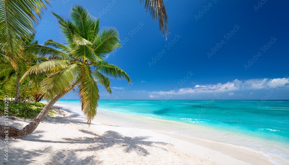 Fototapeta premium tropical beach with palm trees