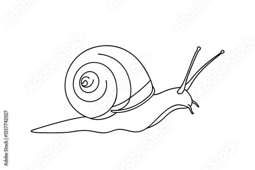 Line art drawing of a snail, shelled gastropod mollusk