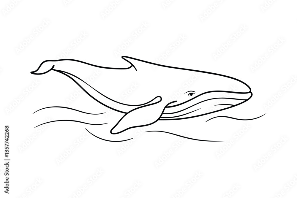 Fototapeta premium Line drawing of a humpback whale swimming in the ocean