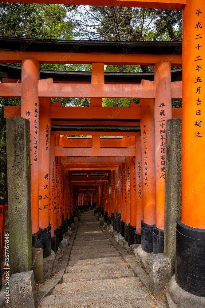 The iconic red torii gates form a path at Fushimi Inari Shrine in Kyoto, Japan. Donated by companies and individuals, each gate symbolizes gratitude to Inari, god of rice and prosperity. The iconic red torii gates form a path at Fushimi Inari Shrine in Kyoto, Japan. Donated by companies and individuals, each gate symbolizes gratitude to Inari, god of rice and prosperity.