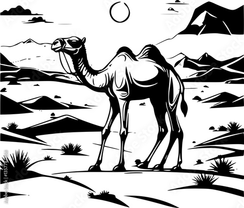 camel in desert