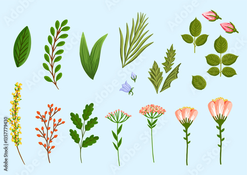 Set of floral design elements. Leaves, flowers, branches, grass, and buds. Botanical vector illustration isolated on white background.