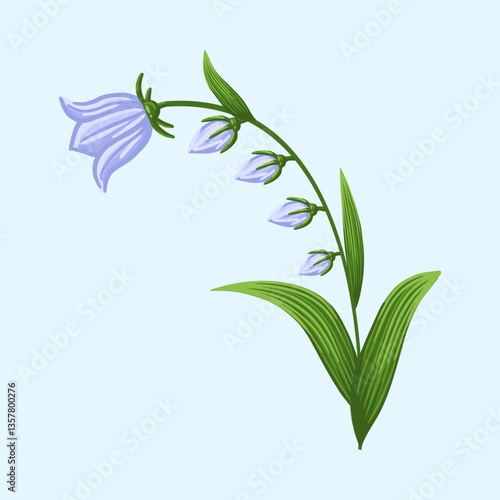 Bluebell flower. Floral design for postcard, poster, ad, decor, fabric and other uses. Vector isolated illustration of harebell flower.
