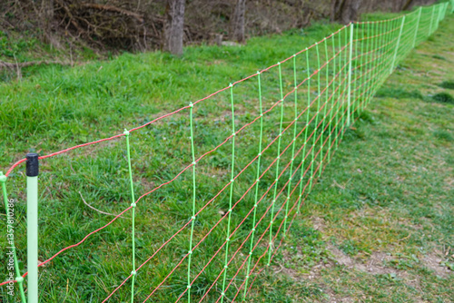 electric fence for livestock management in a green pasture during the day