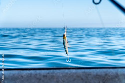 Obraz na płótnie Fishing hook hanging over the sea with blurred ocean background w salonie