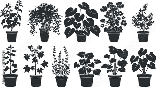 Silhouettes of various potted plants in black and white illustration.