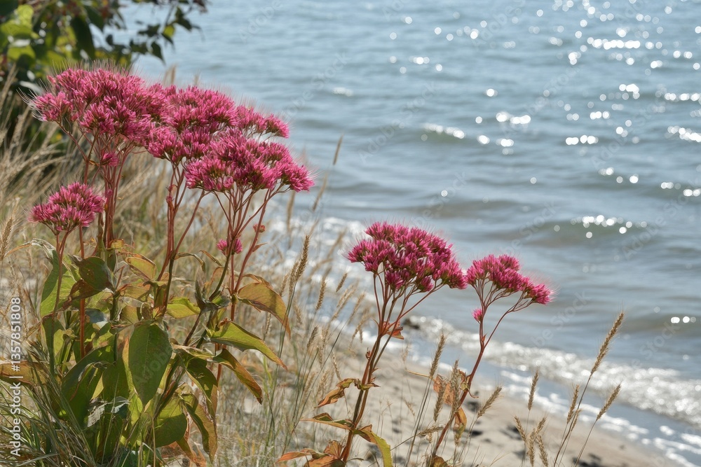 Pink flowers bloom near a sparkling lake shore Pink flowers bloom near a sparkling lake shore