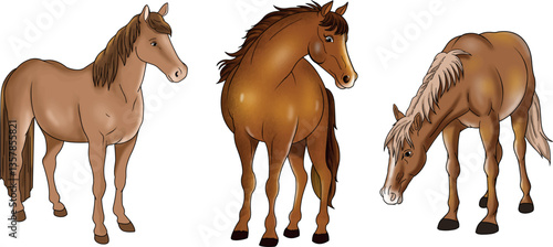 Three horses standing next to each other