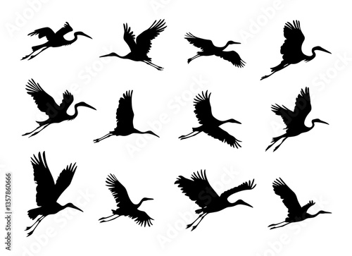 Storks flying different silhouettes. Isolated stork fly in sky, big bird with wings. Pregnancy and newborn symbols, decorative wild nature vector elements